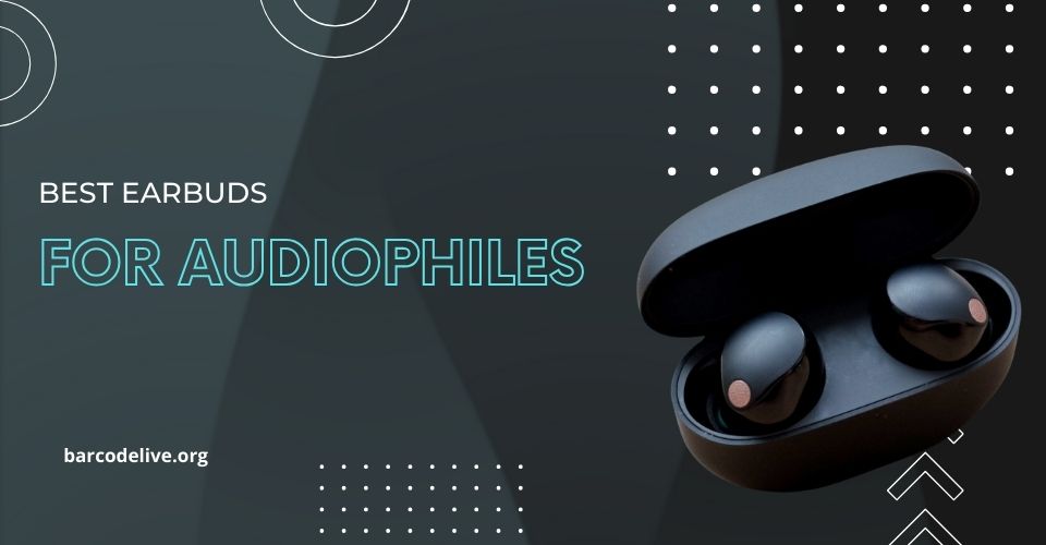 9 Best Earbuds for Audiophiles to Bring You With High-Quality Music